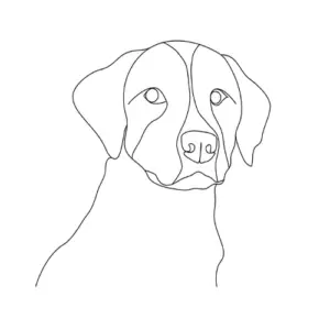 site internet vitrine 2