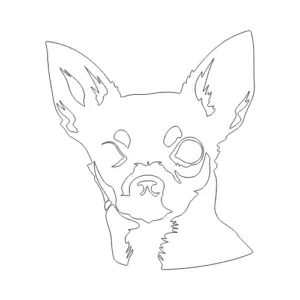 site internet vitrine