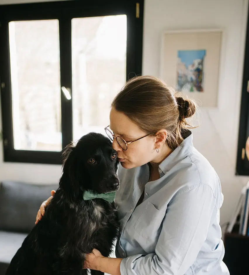 creation site internet équipe